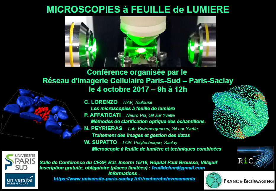 micro feuille seminaire